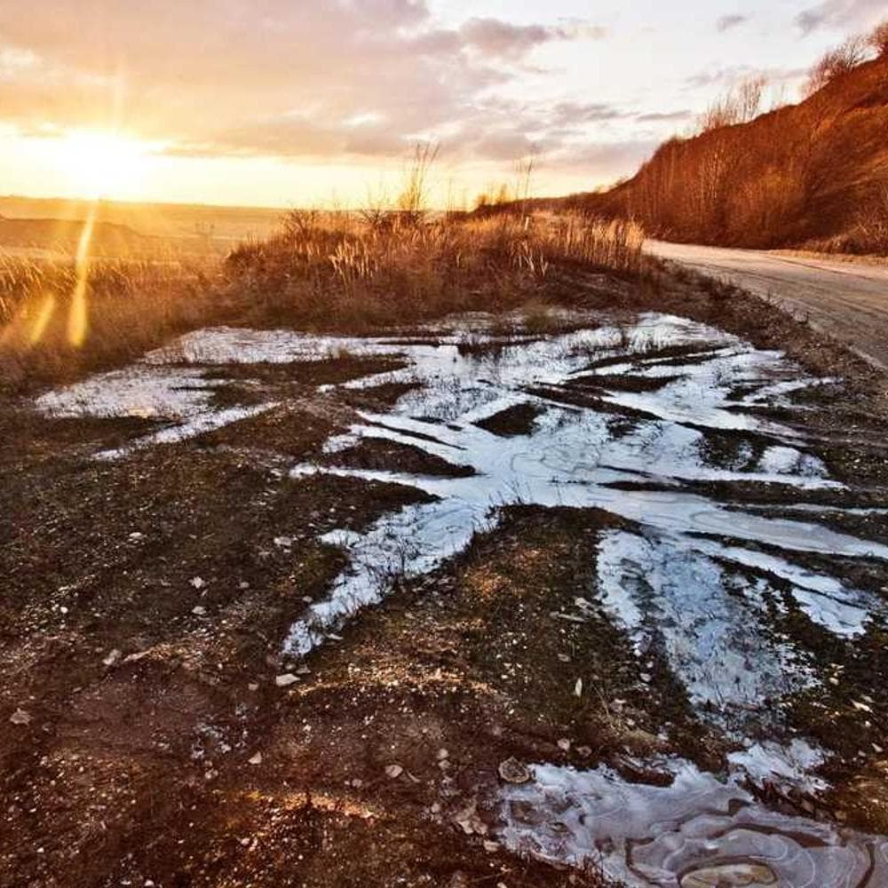 [EN] bePURE Liquid Chicken Snack (SteelBlue dolor #644)