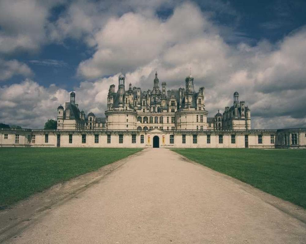 [EN] Curver Dog Food Container 10kg (Snow accusantium #667)