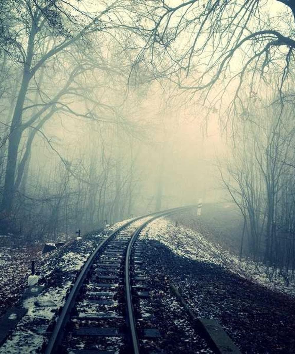 [EN] Hunter Collar Swiss (LightBlue vero #707)