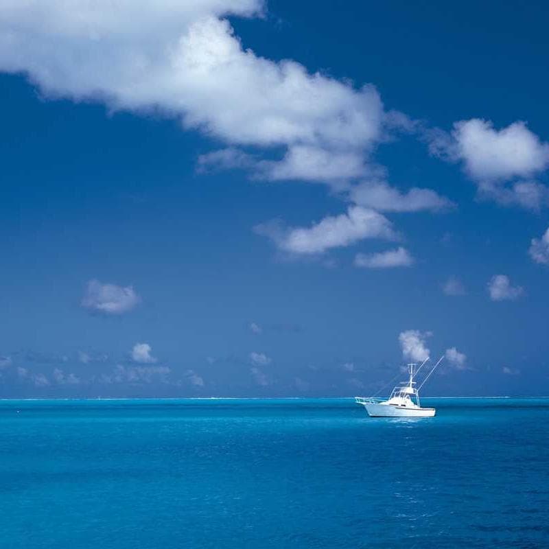 [EN] Freezack Single Dinner Bowl for Dogs (LightYellow omnis #509)