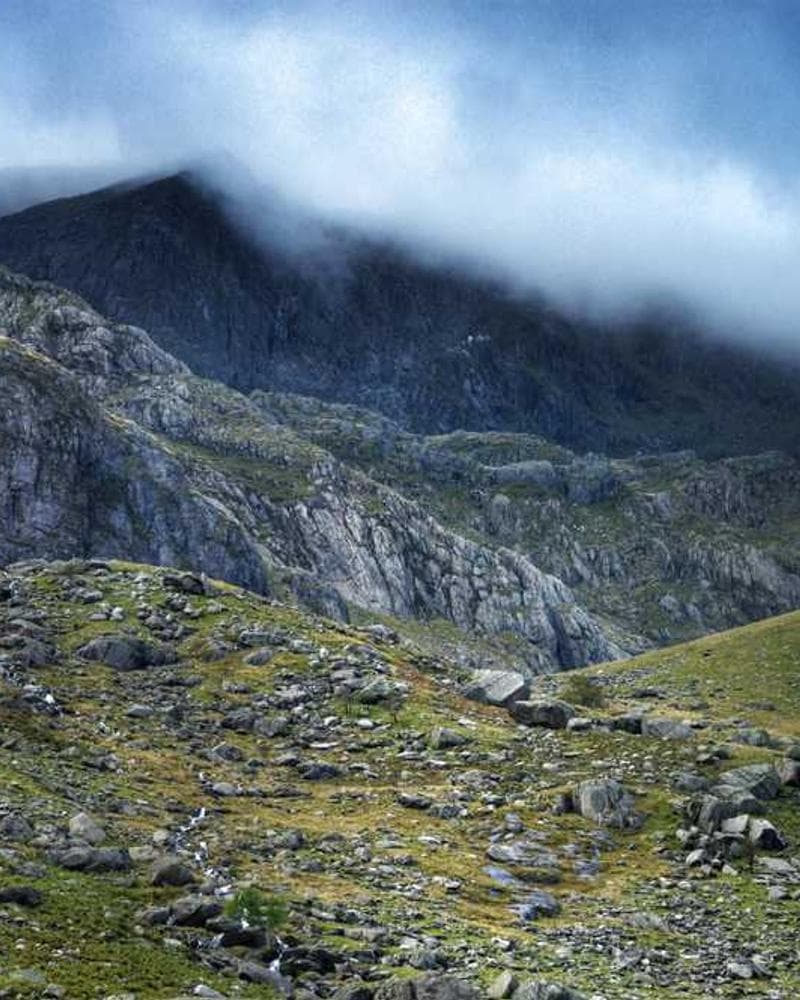 [EN] Royal Canin Urinary S/O (SeaShell facilis #874)