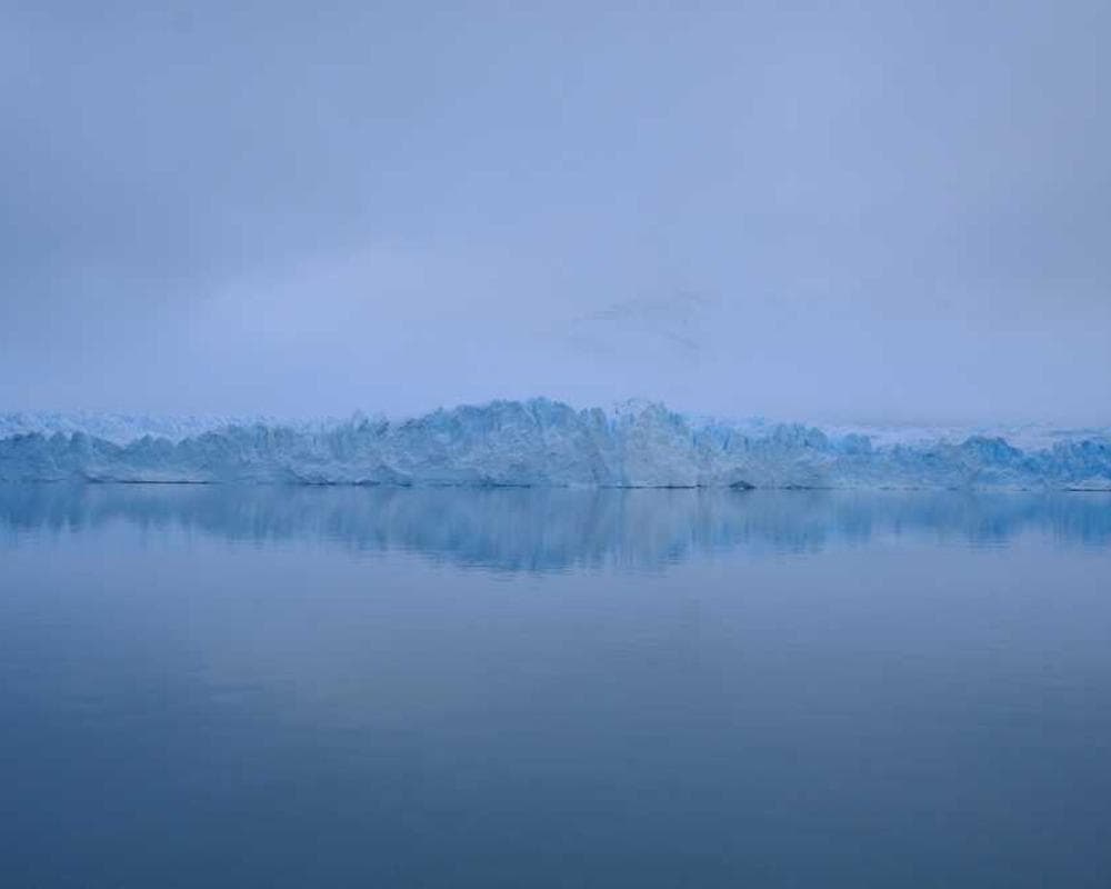 [EN] Hunter Collar Swiss (SteelBlue quo #597)