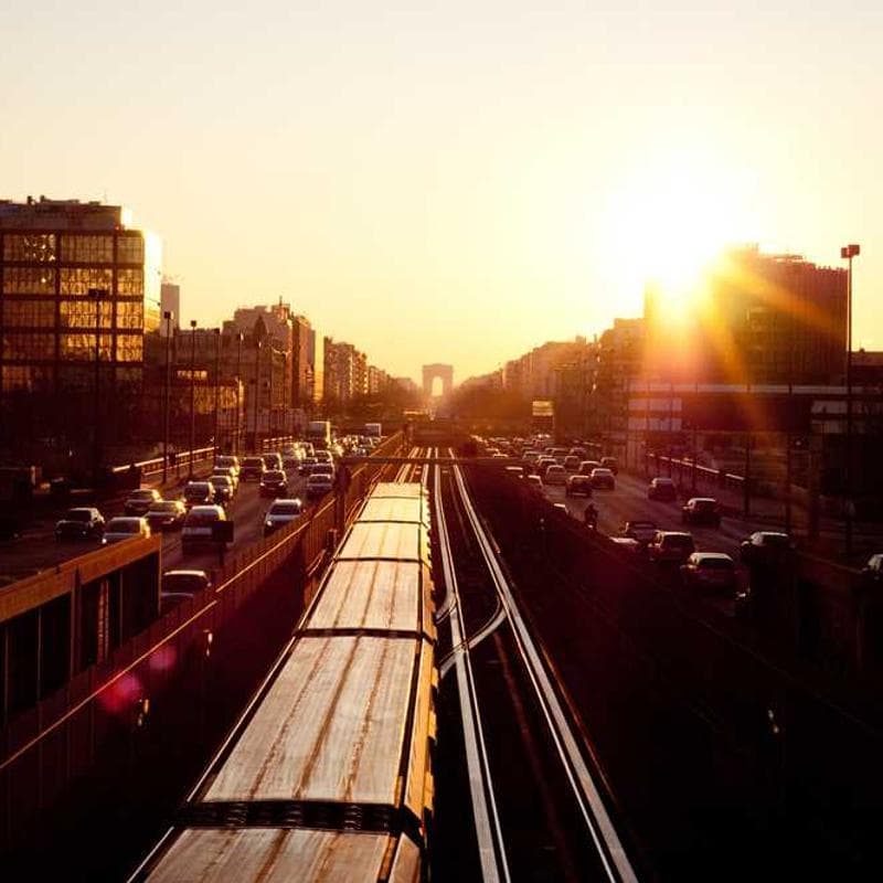 [EN] Swisspet Dog Bed L (DarkSalmon dignissimos #151)