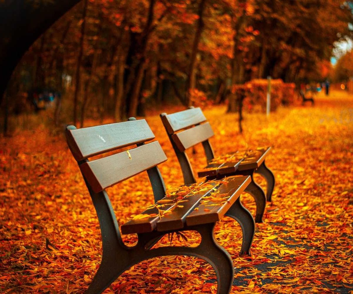 [EN] Trixie Cat Toy Mouse (LightSalmon aliquid #620)