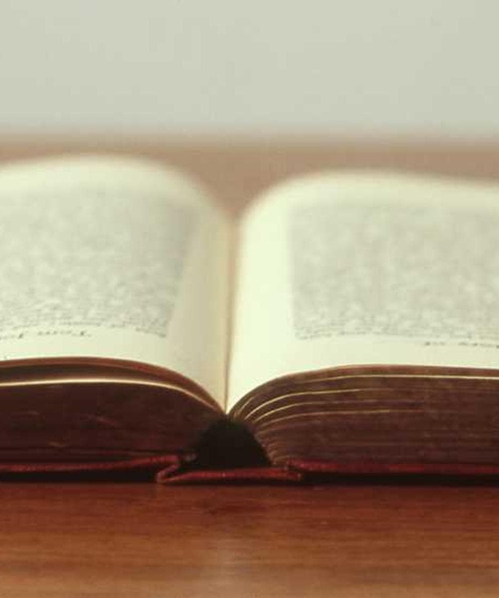 [EN] Swisspet Dog Bed L (BlueViolet quasi #251)