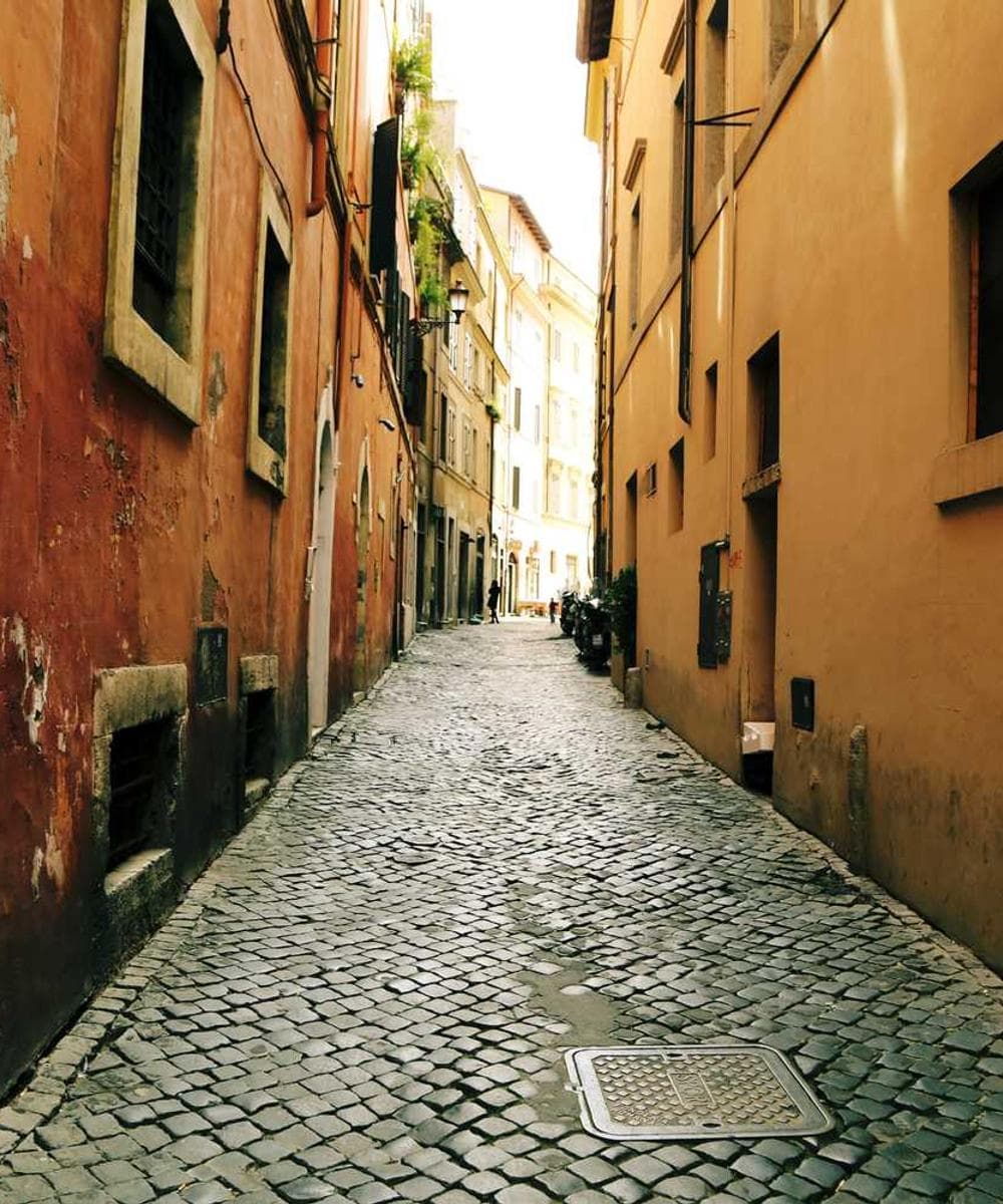 [EN] Swisspet Dog Bed L (White porro #451)