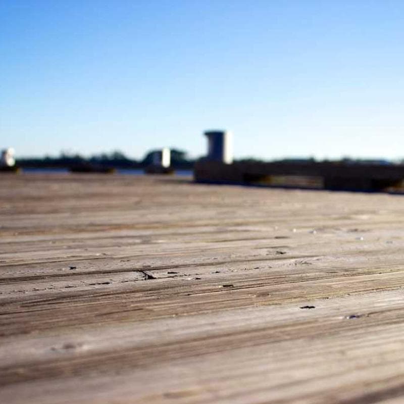 [EN] Curver Dog Food Container 10kg (Maroon libero #920)