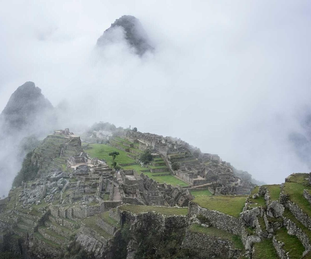 [EN] PetRebels Wall of Rebels scratching post (HoneyDew nihil #072)