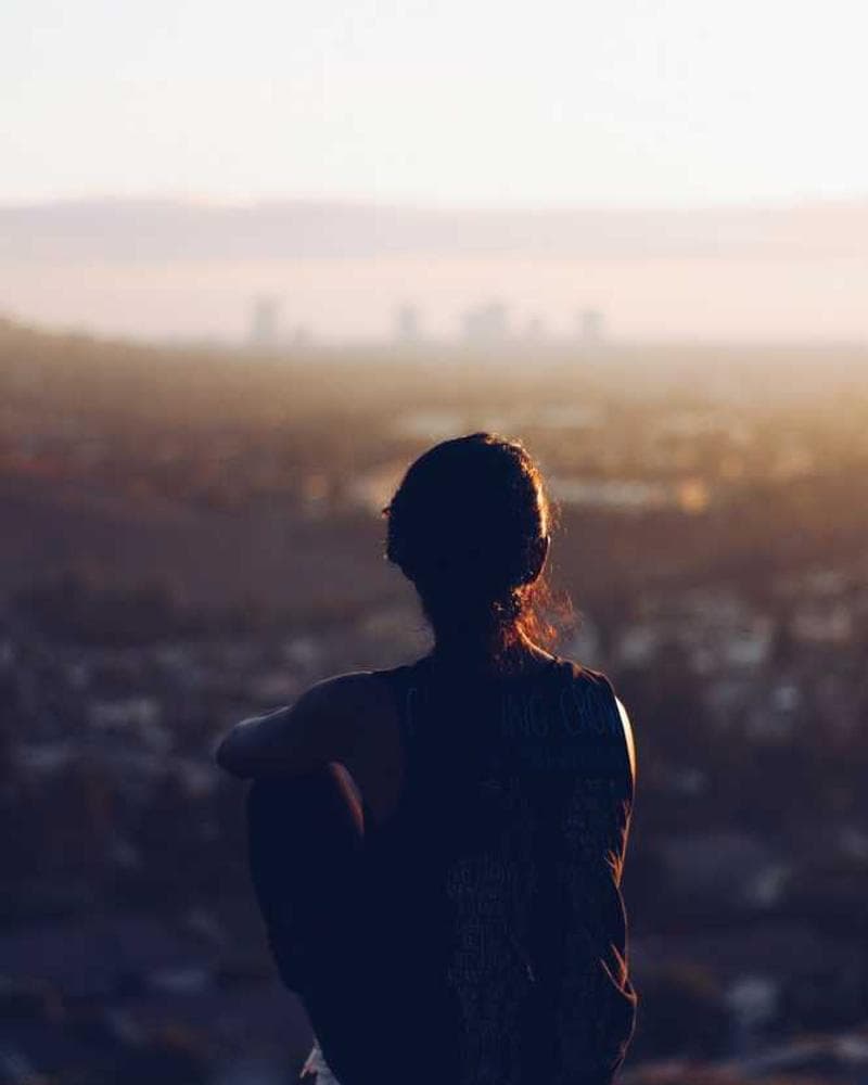 [EN] Furminator Deshedding Tool M (SeaGreen consectetur #676)