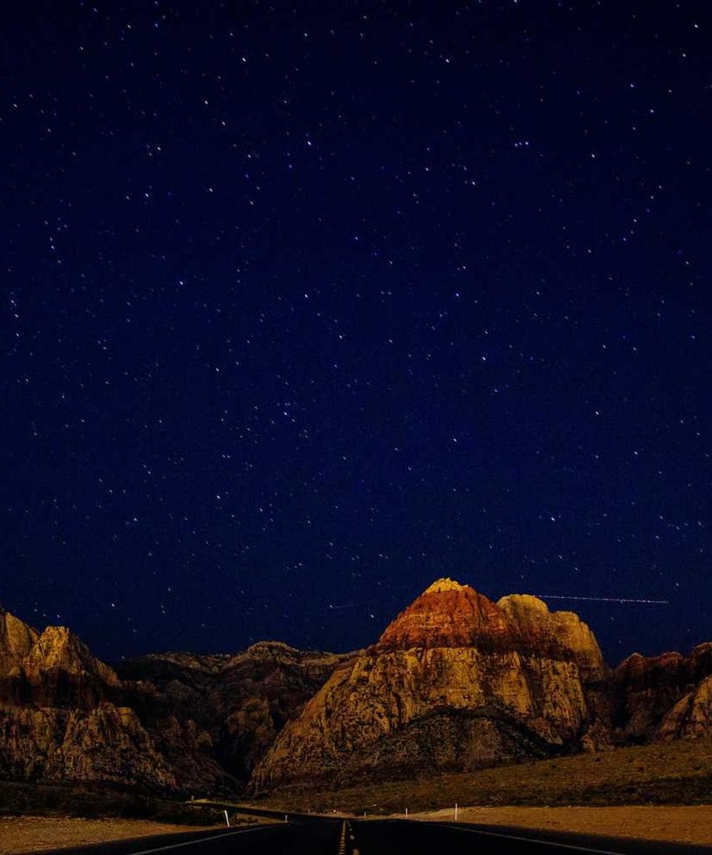 [EN] PetRebels Wall of Rebels scratching post (MediumSlateBlue impedit #816)