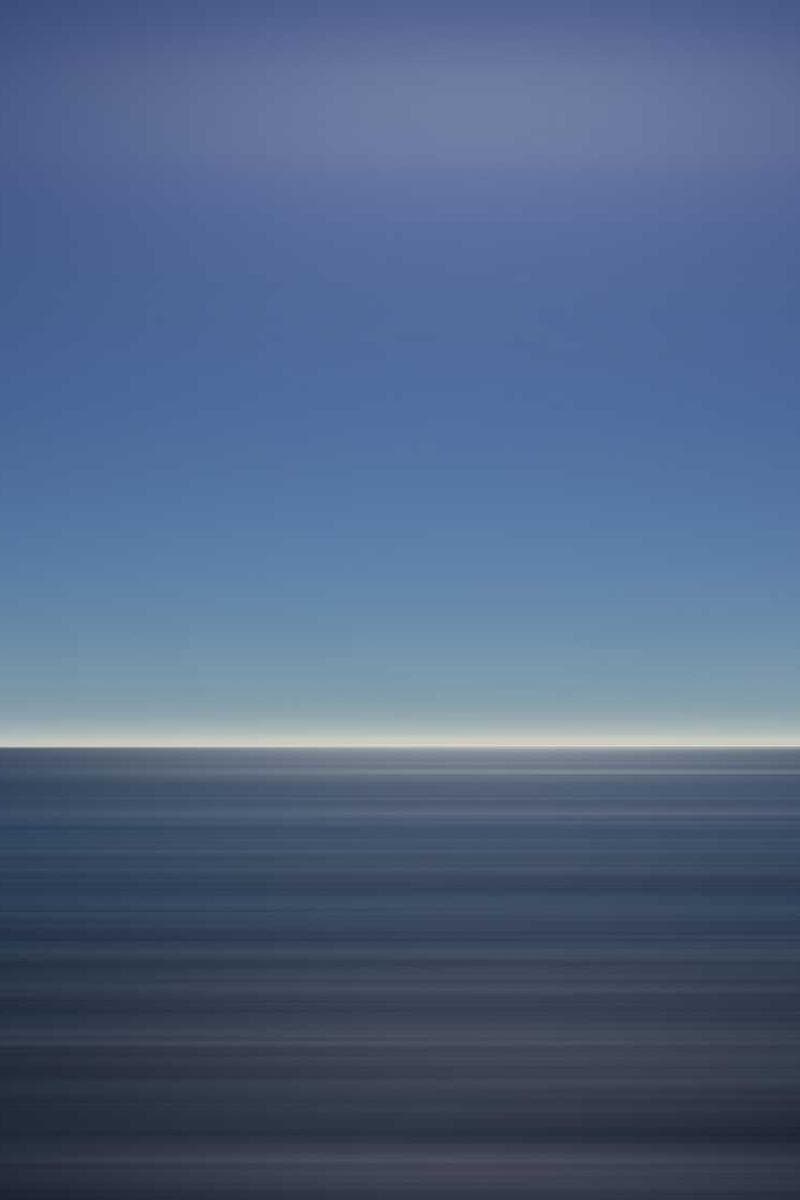 [EN] Curver Dog Food Container 10kg (Bisque nemo #894)