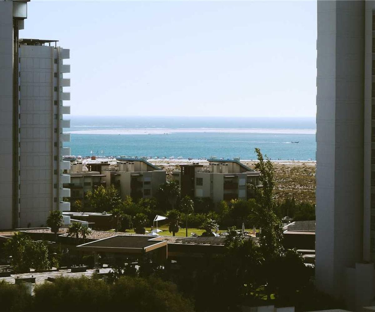 [EN] PetRebels Wall of Rebels scratching post (Silver ut #664)