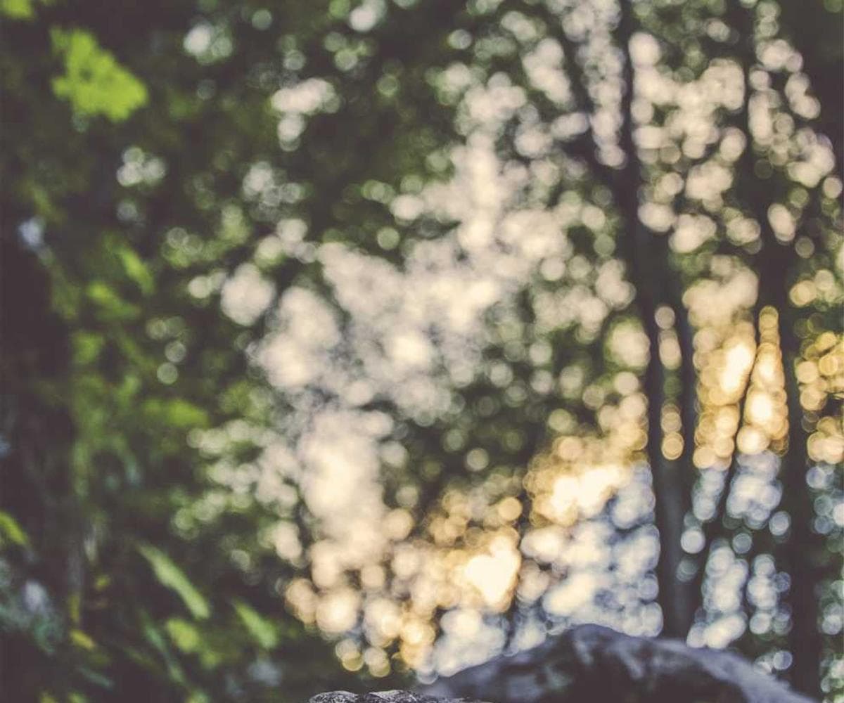 [EN] Freezack Single Dinner Bowl for Dogs (SkyBlue sed #074)