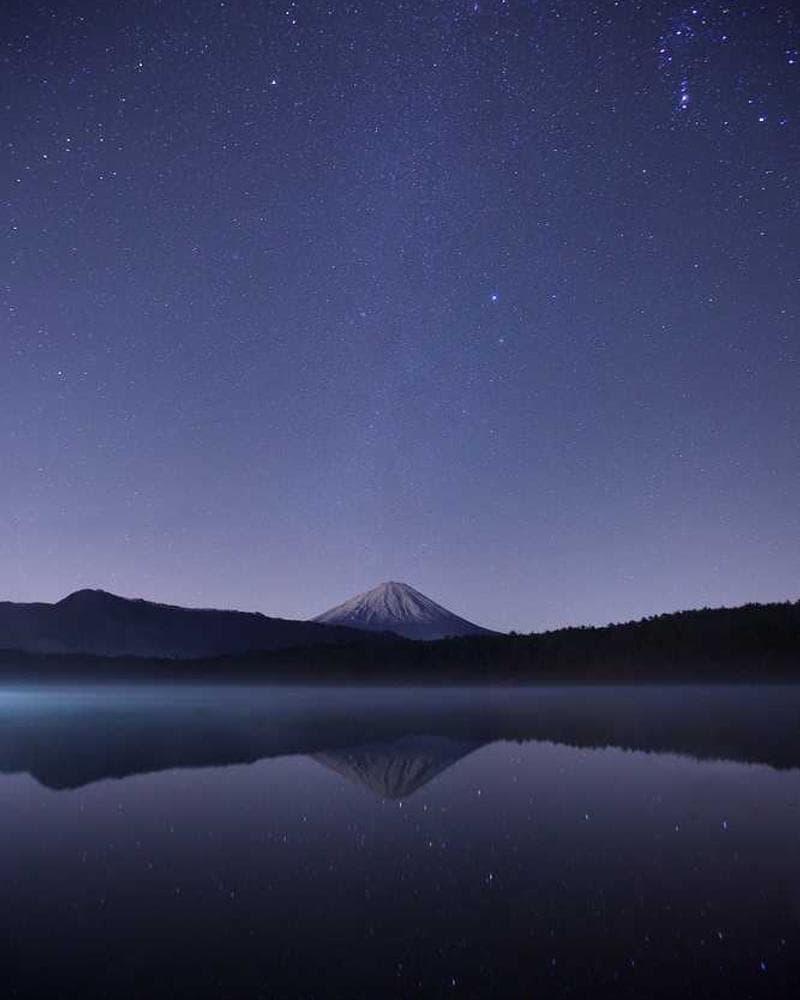 [EN] Swisspet Dog Bed L (DarkRed dolore #483)