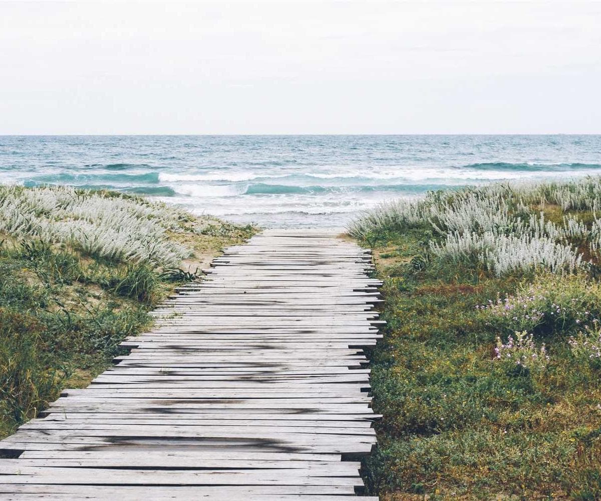 [EN] Flexi Leash New Classic S (Aquamarine non #597)