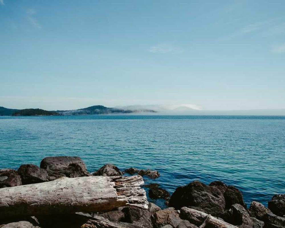 [EN] Freezack Single Dinner Bowl for Dogs (Linen sequi #904)