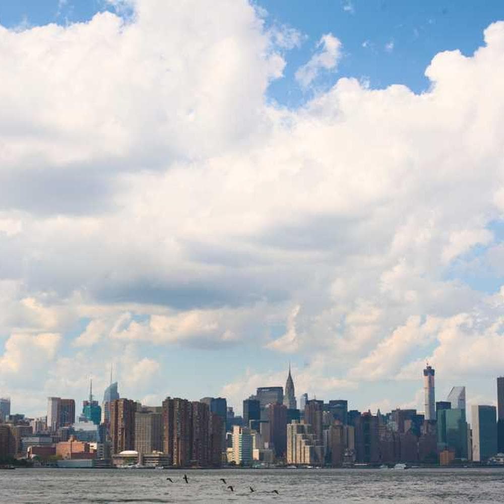 [EN] Flexi Leash New Classic S (MidnightBlue vitae #651)