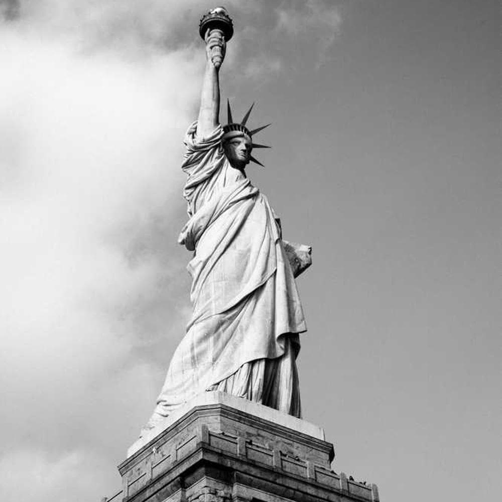 [EN] Furminator Deshedding Tool M (MediumBlue a #823)