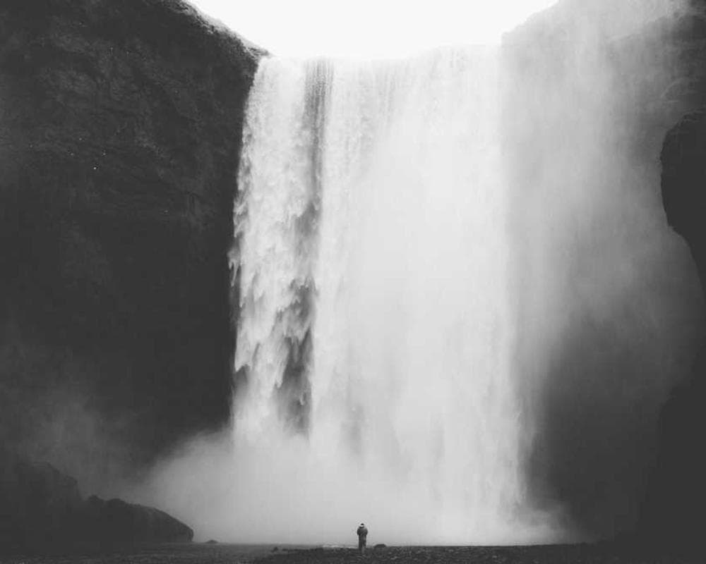 [EN] Freezack Single Dinner Bowl for Dogs (DarkOliveGreen eveniet #624)