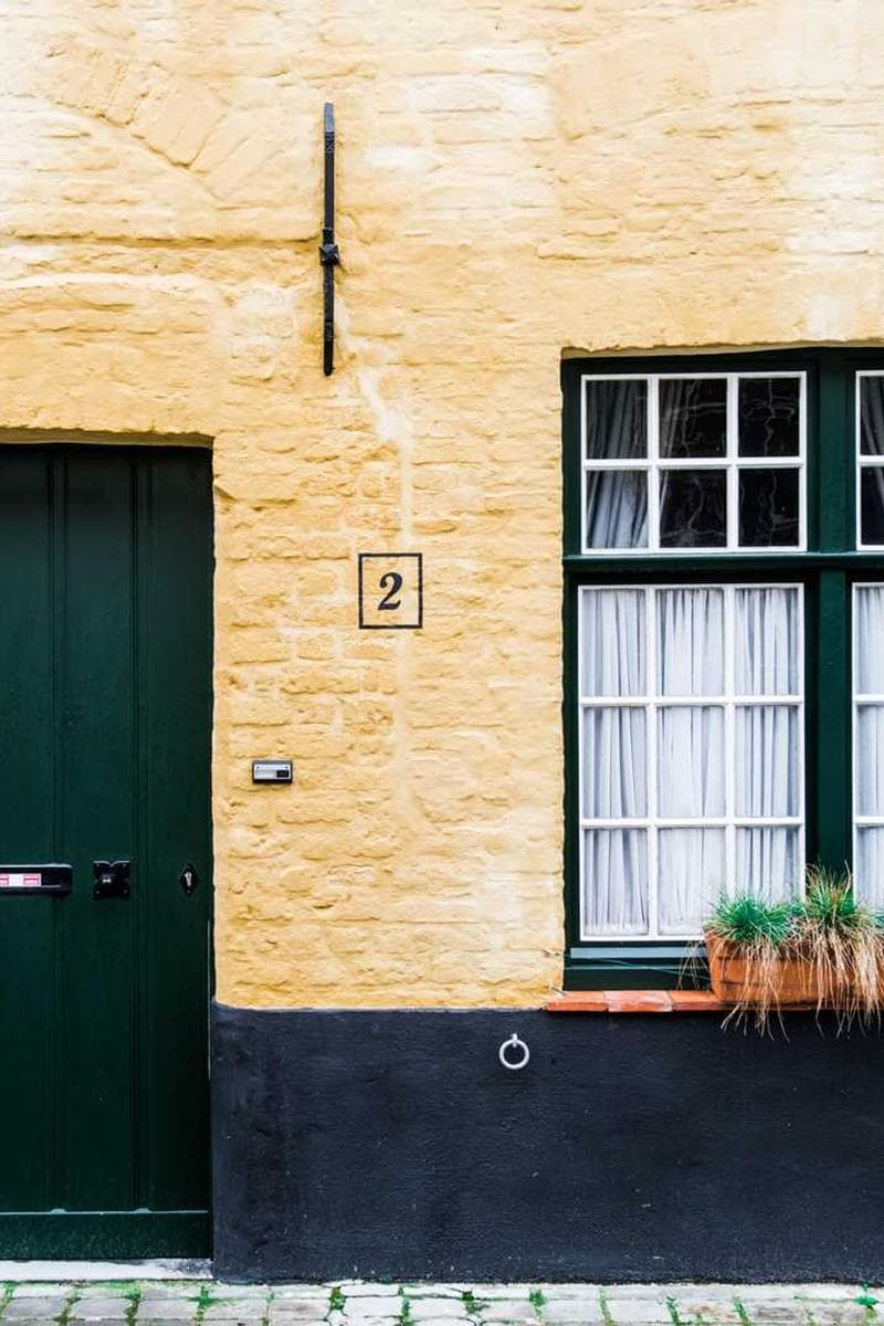 [EN] Flexi Leash New Classic S (DimGray impedit #741)