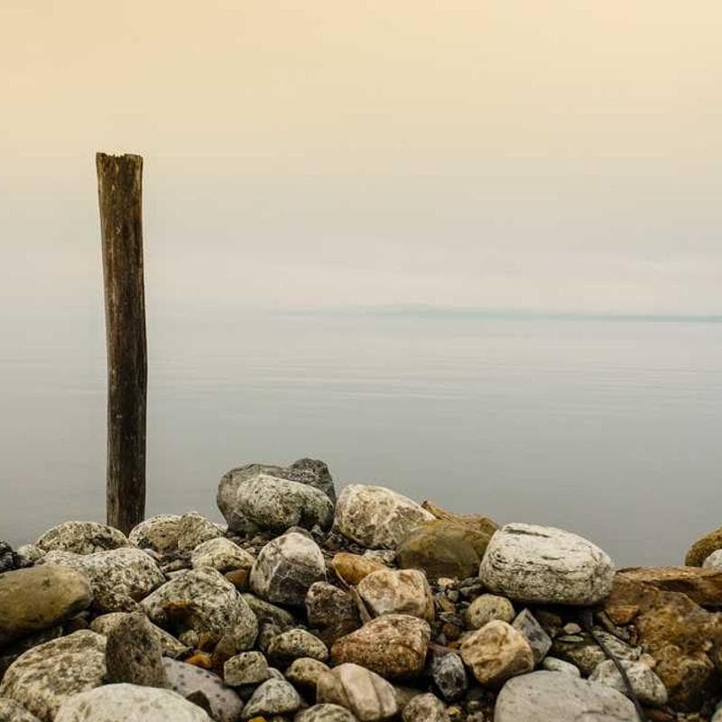 [EN] Swisspet Dog Bed L (CadetBlue voluptas #946)