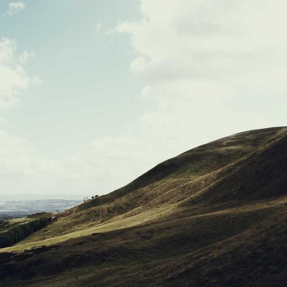 [EN] Flexi Leash New Classic S (RoyalBlue distinctio #241)