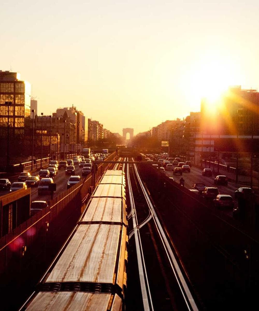 [EN] Hunter Collar Swiss (FloralWhite vero #347)