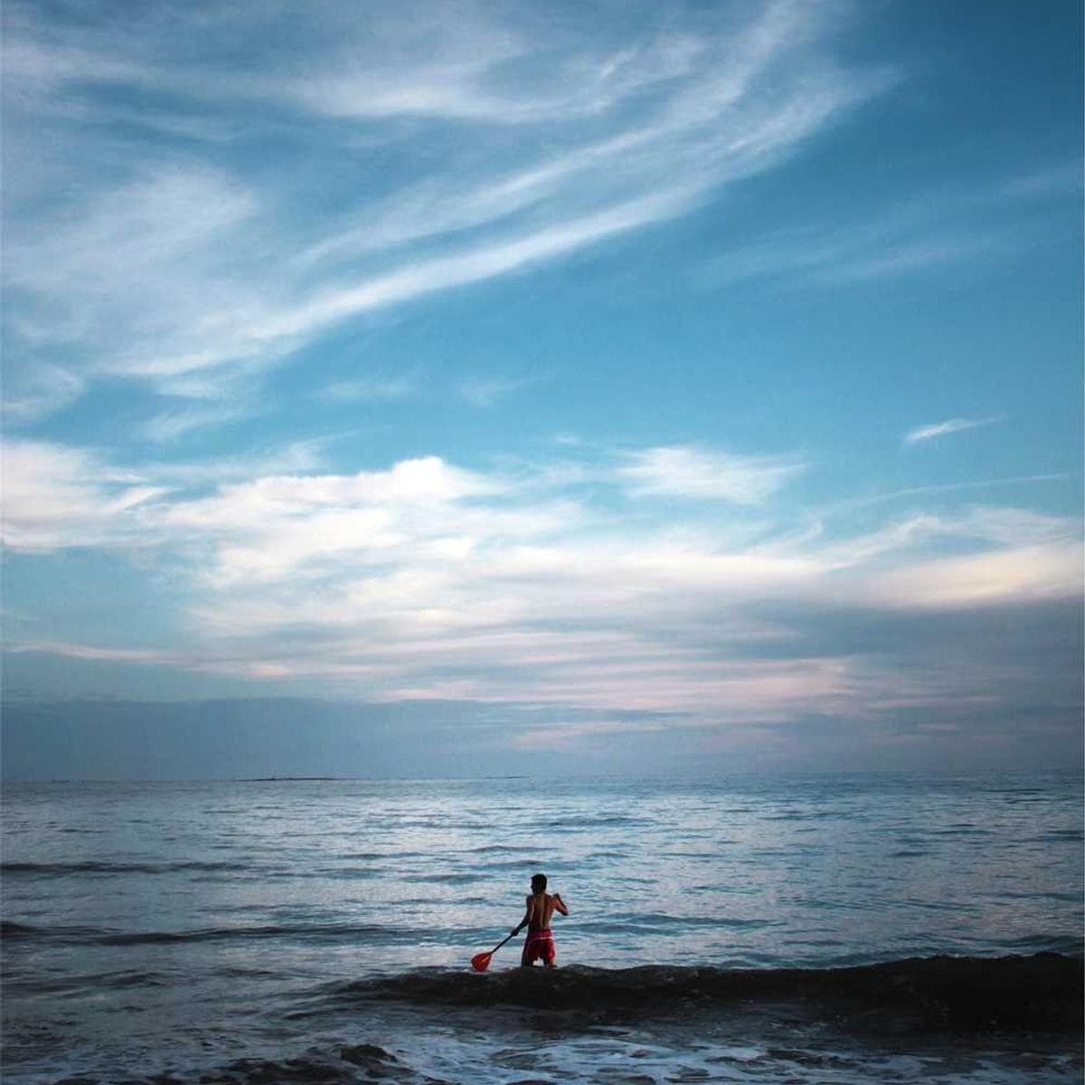 [EN] Curver Dog Food Container 10kg (Pink non #616)