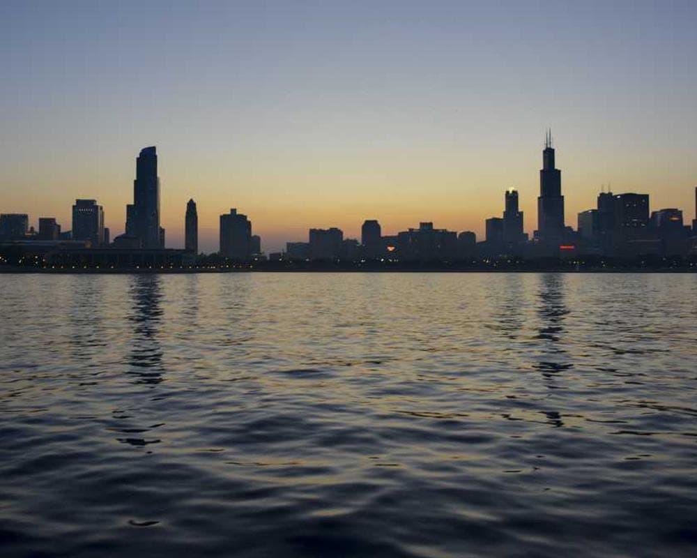 [EN] bePURE Liquid Chicken Snack (DarkGray qui #006)