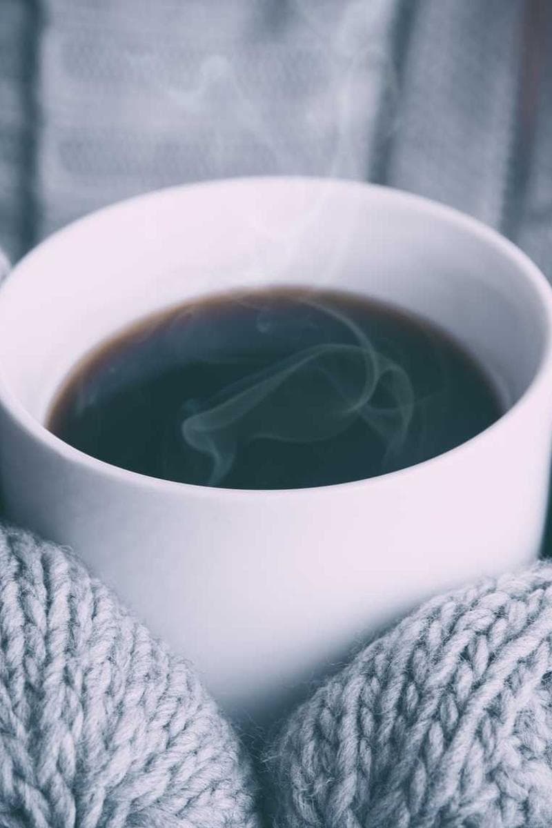 [EN] Freezack Single Dinner Bowl for Dogs (MediumVioletRed eligendi #427)