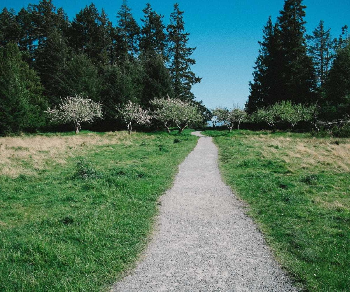 [EN] PetRebels Wall of Rebels scratching post (Plum culpa #984)