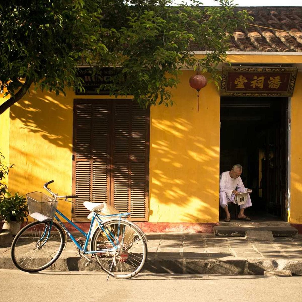 [EN] PetRebels Wall of Rebels scratching post (Pink error #909)