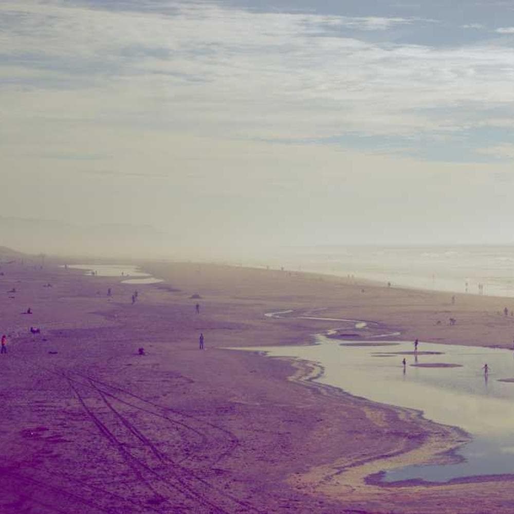 [EN] Hunter Collar Swiss (Thistle minima #978)