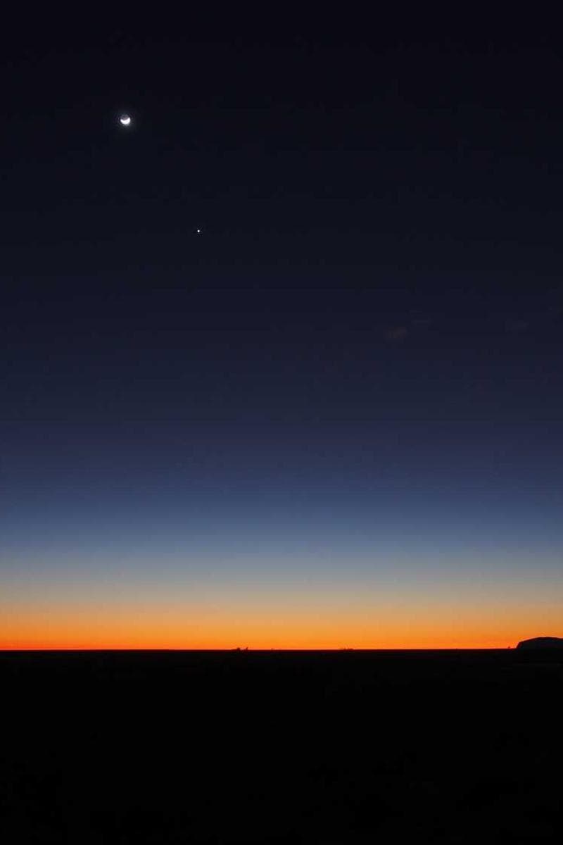 [EN] Freezack Single Dinner Bowl for Dogs (BlueViolet velit #884)