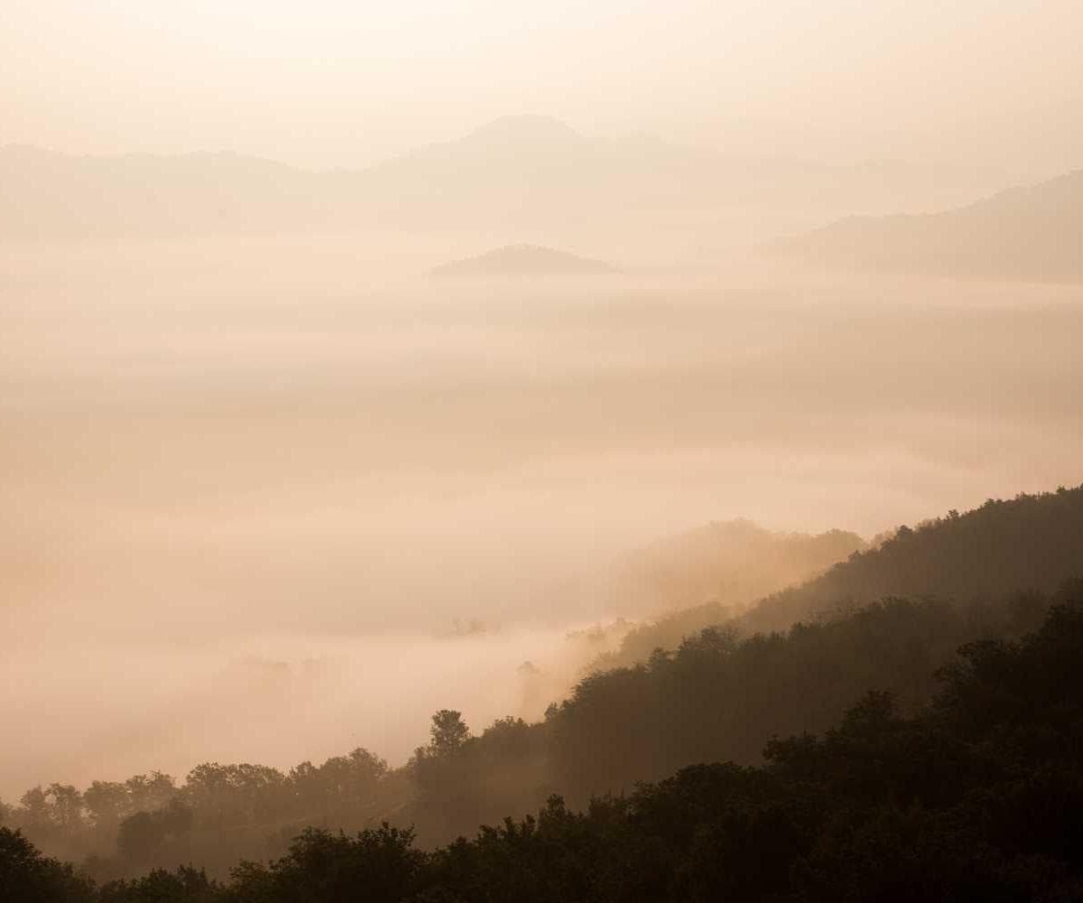 [EN] Swisspet Dog Bed L (FireBrick consequatur #313)