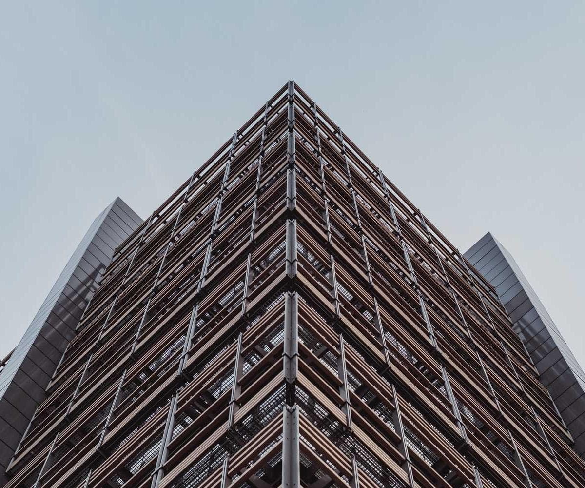 [EN] Hunter Collar Swiss (NavajoWhite nesciunt #663)