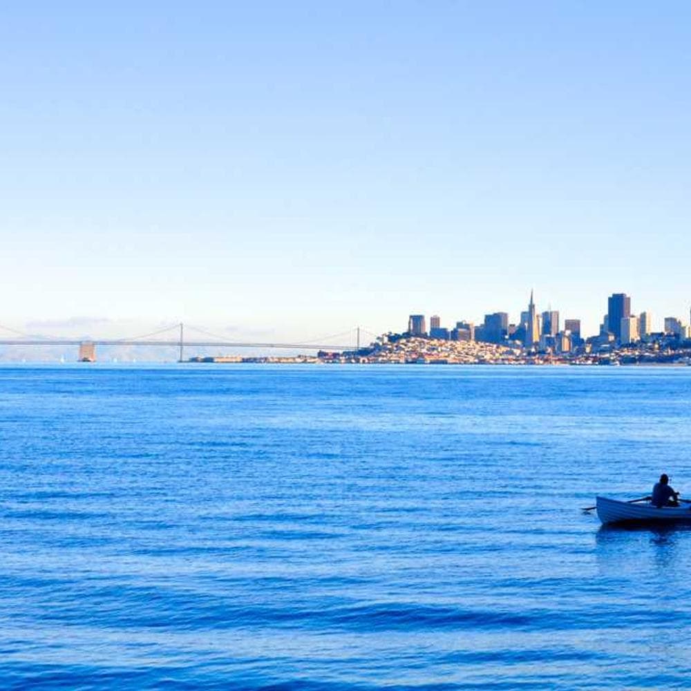 [EN] Flexi Leash New Classic S (CadetBlue quis #816)