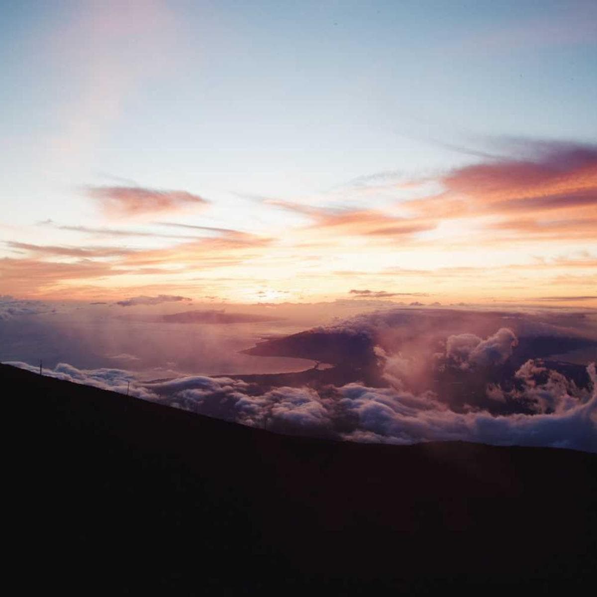 [EN] PetRebels Wall of Rebels scratching post (SteelBlue non #638)