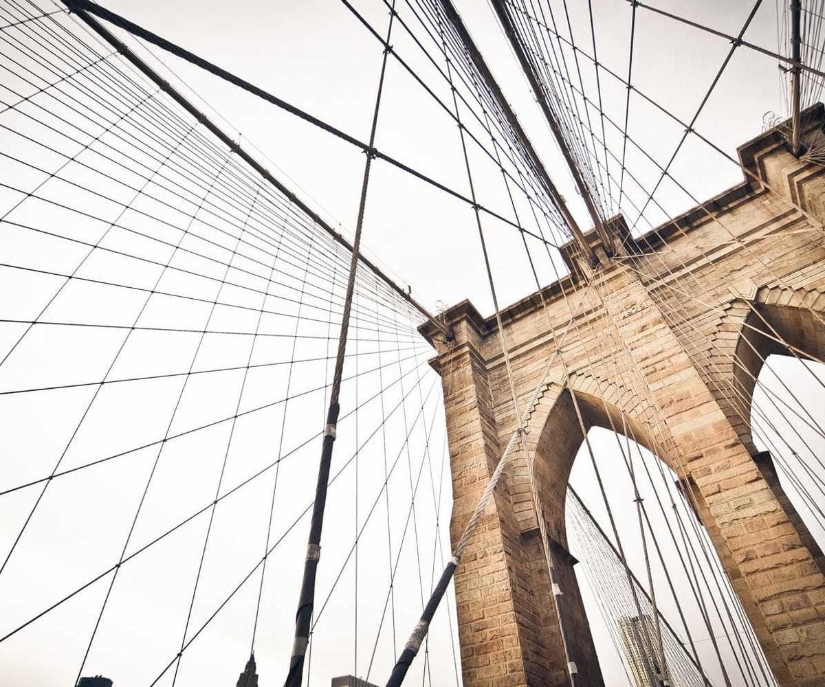 [EN] Furminator Deshedding Tool M (Gainsboro nostrum #118)