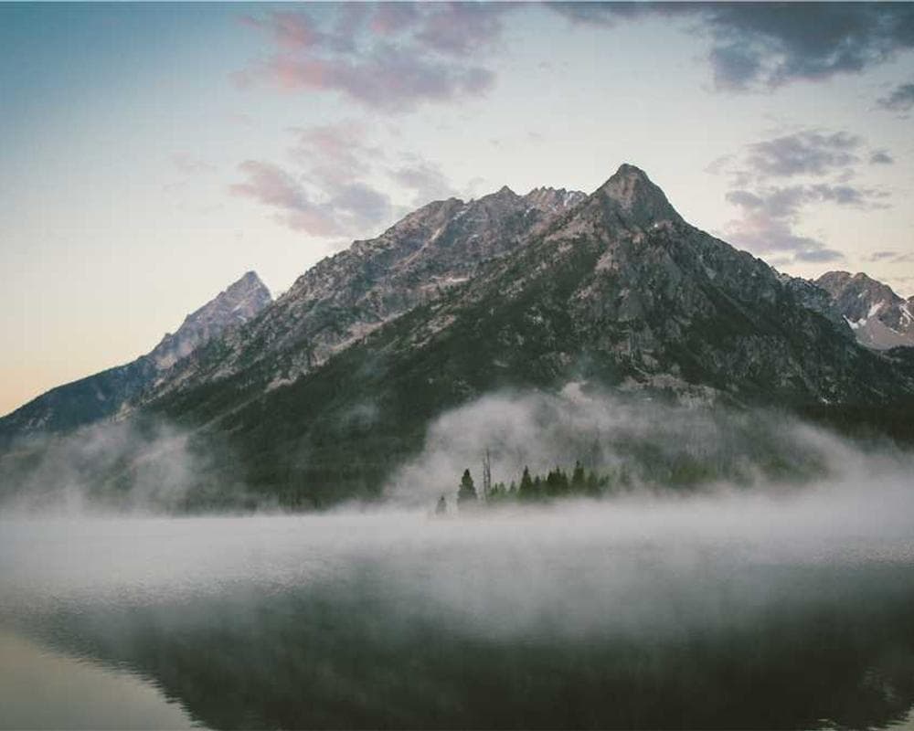 [EN] Hunter Collar Swiss (MistyRose magni #174)