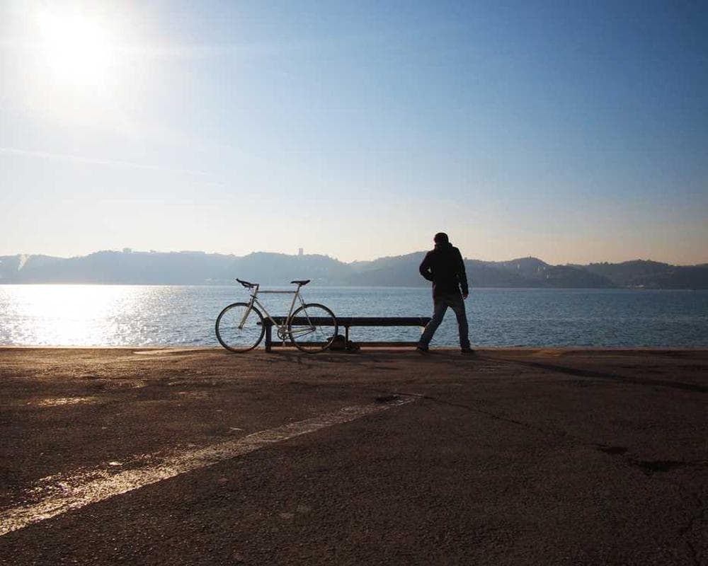 [EN] Curver Dog Food Container 10kg (SlateBlue esse #117)