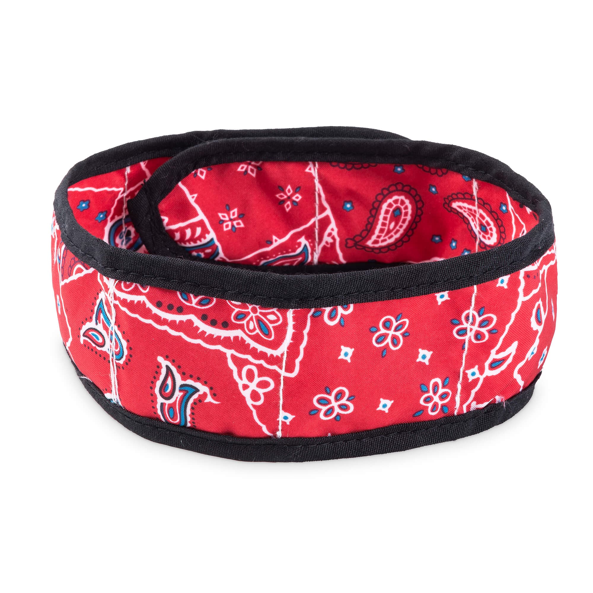 Aqua Coolkeeper Collier pour chien 'Cooling Collar' Rouge