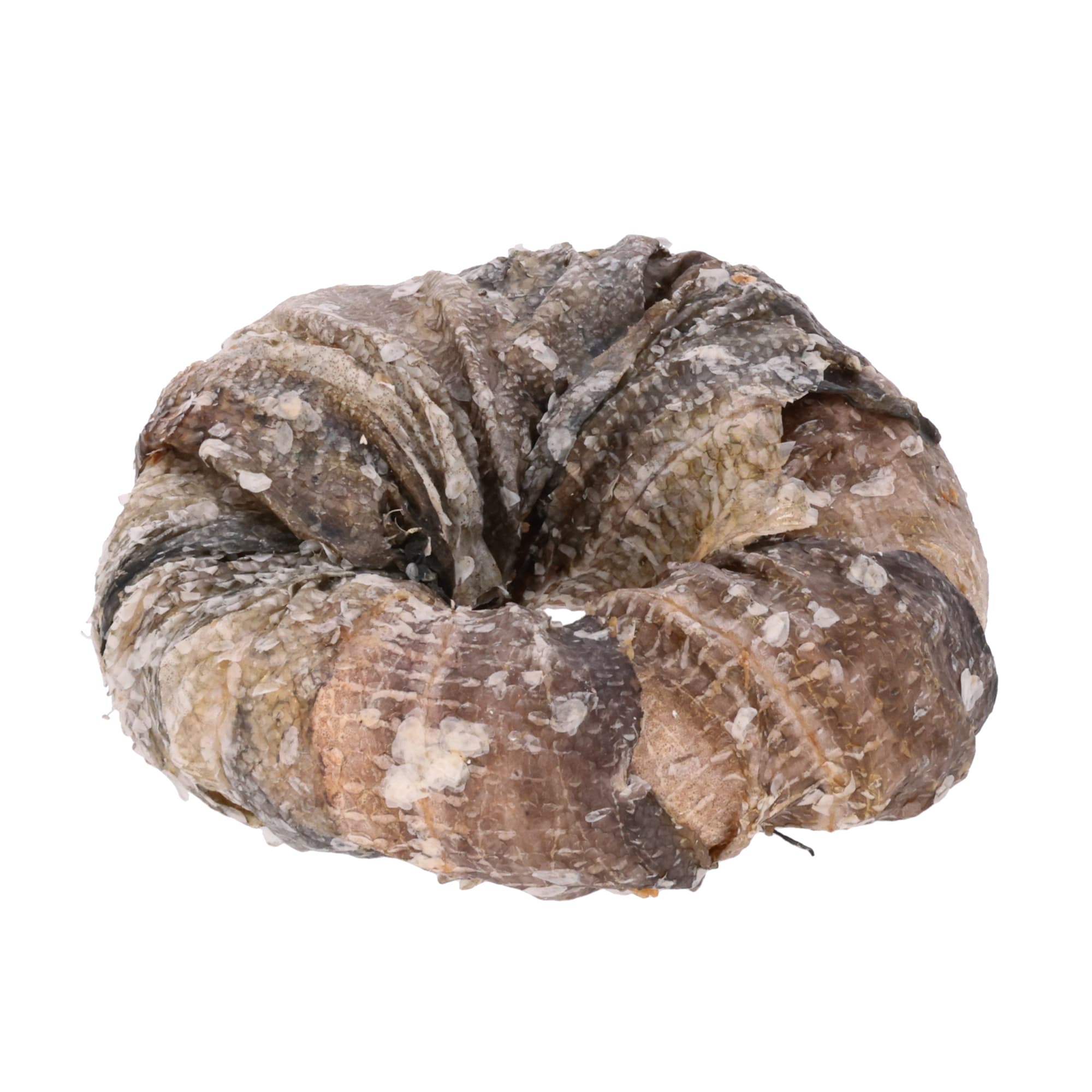 bePure Dog Chew 'Beignet en peau de bœuf et de poisson'