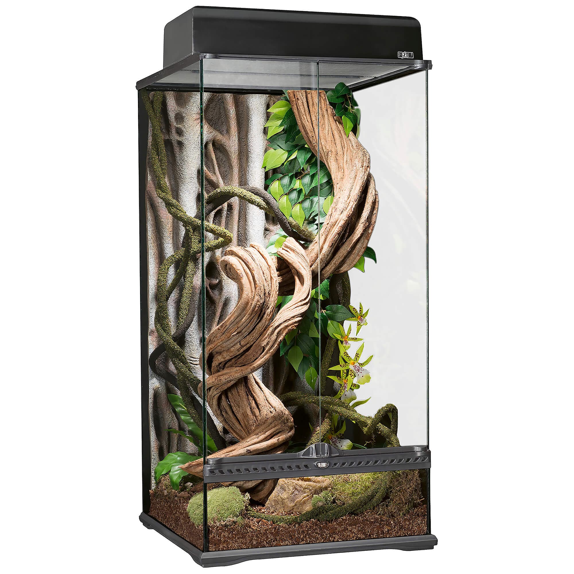 Exo Terra Terrarium 'Glass Terrarium'
