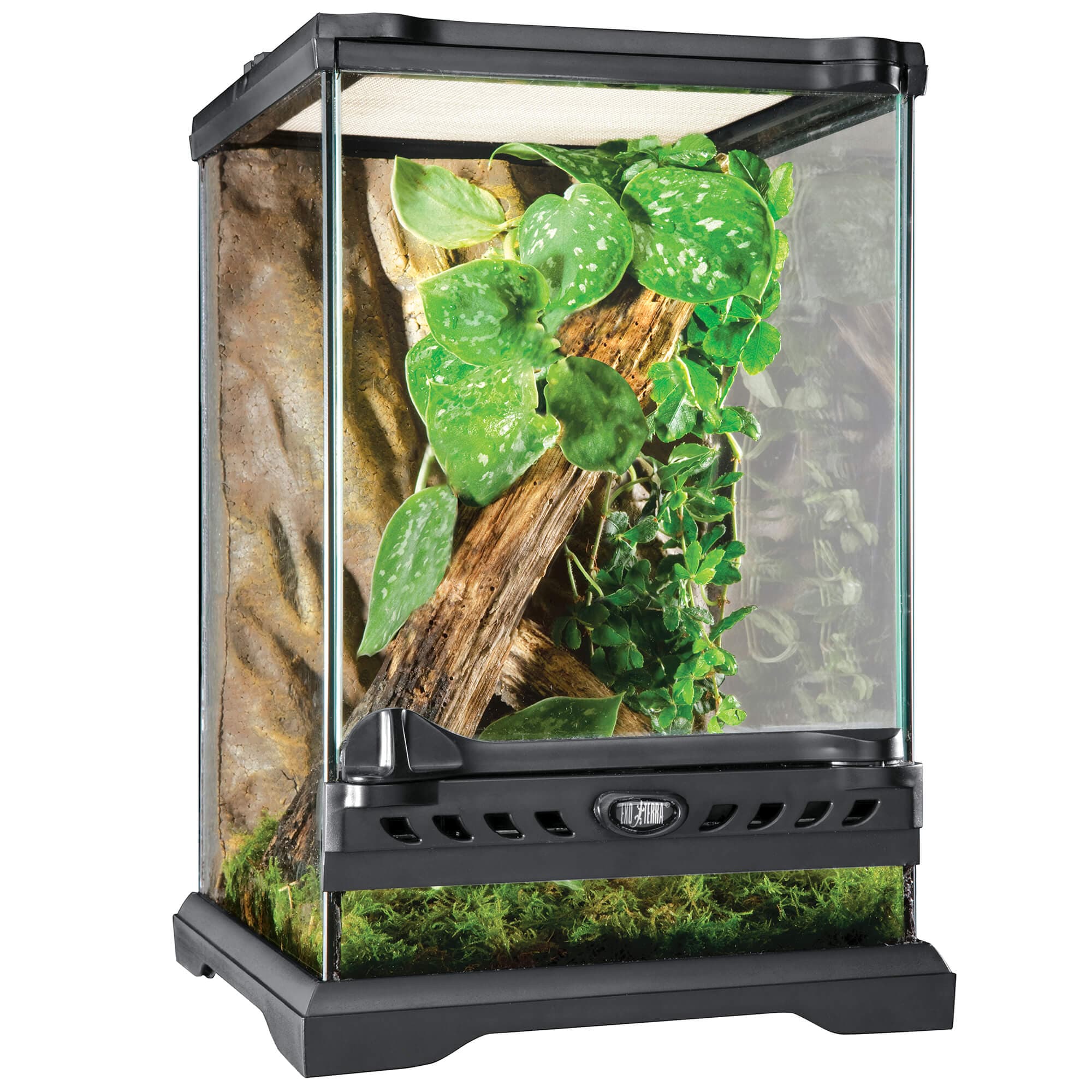 Exo Terra Terrarium 'Terrarium en verre' Nano