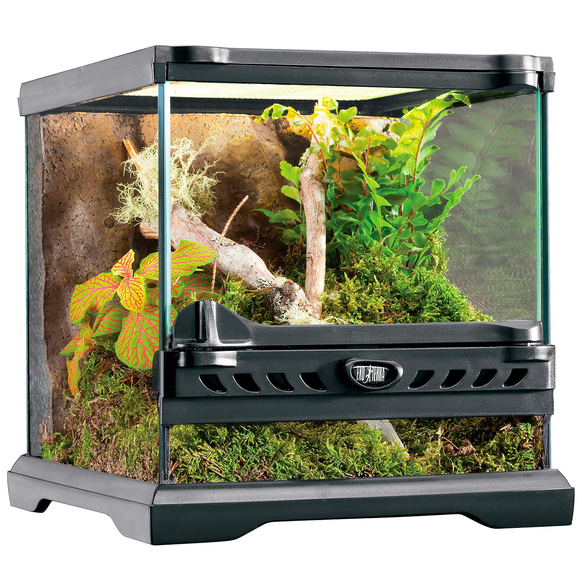 Exo Terra Terrarium 'Terrarium en verre' Nano