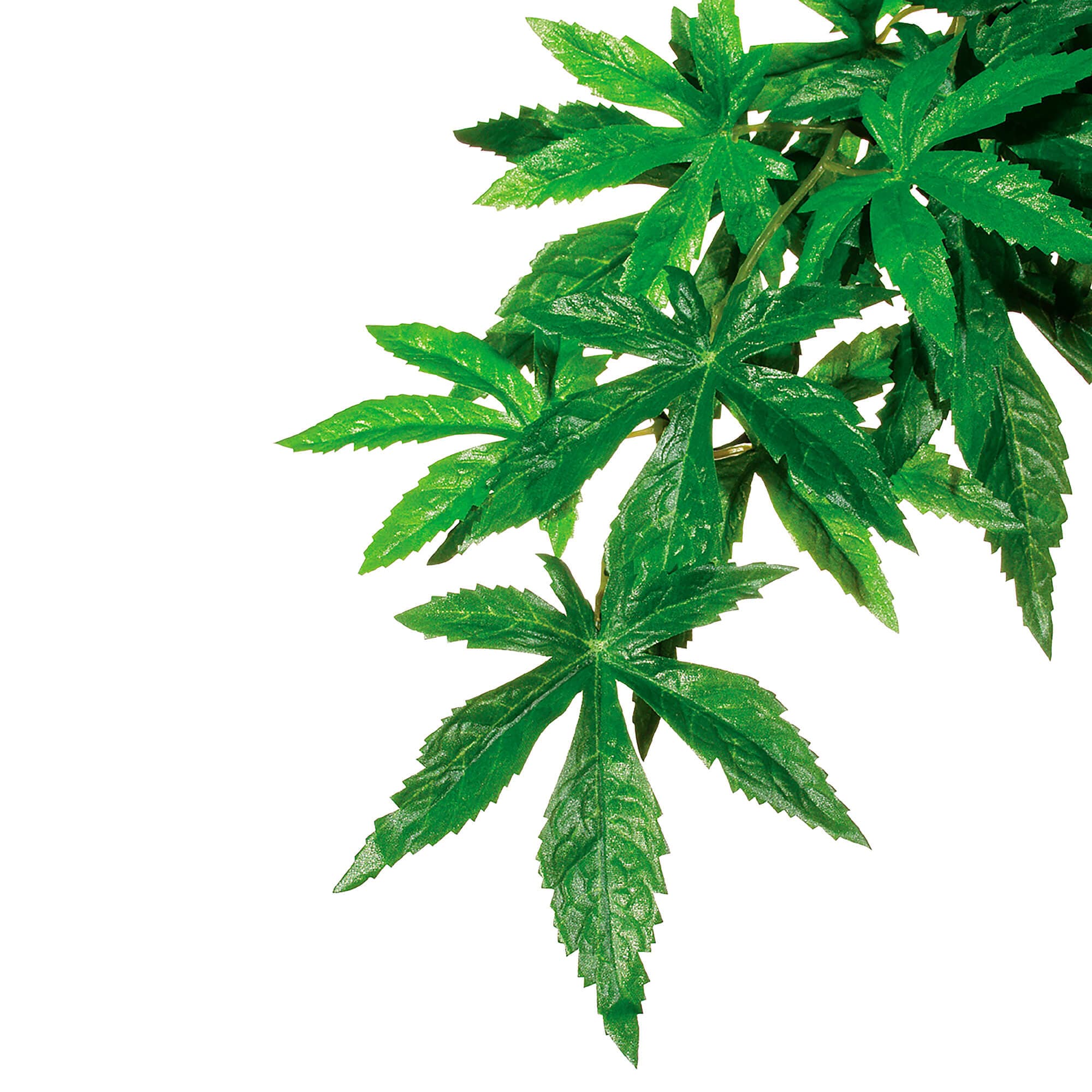 Exo Terra Décor de terrarium 'Jungle Plant' Abuliton M