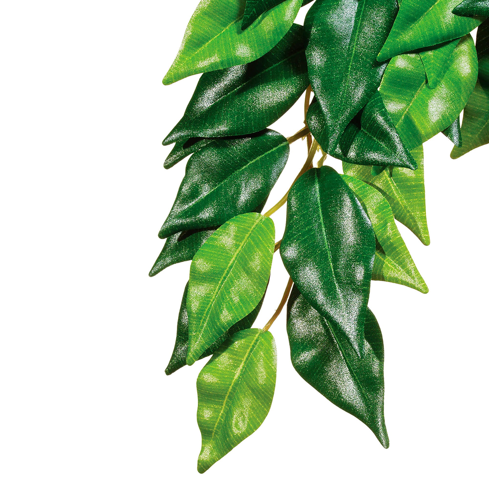 Exo Terra Décor de terrarium 'Jungle Plant' Fikus M