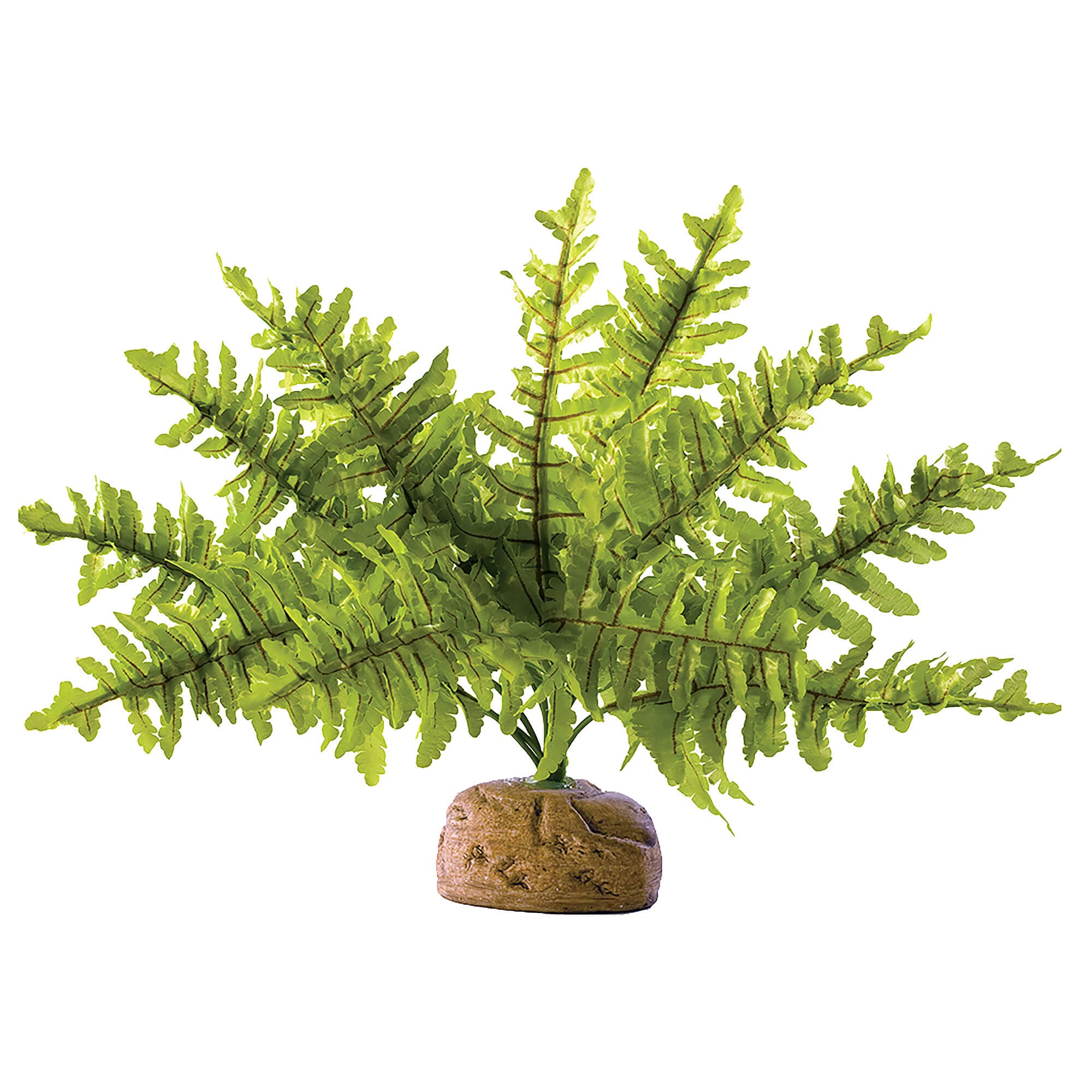 Exo Terra Décor de terrarium 'Plante de la forêt tropicale' Boston Fern S