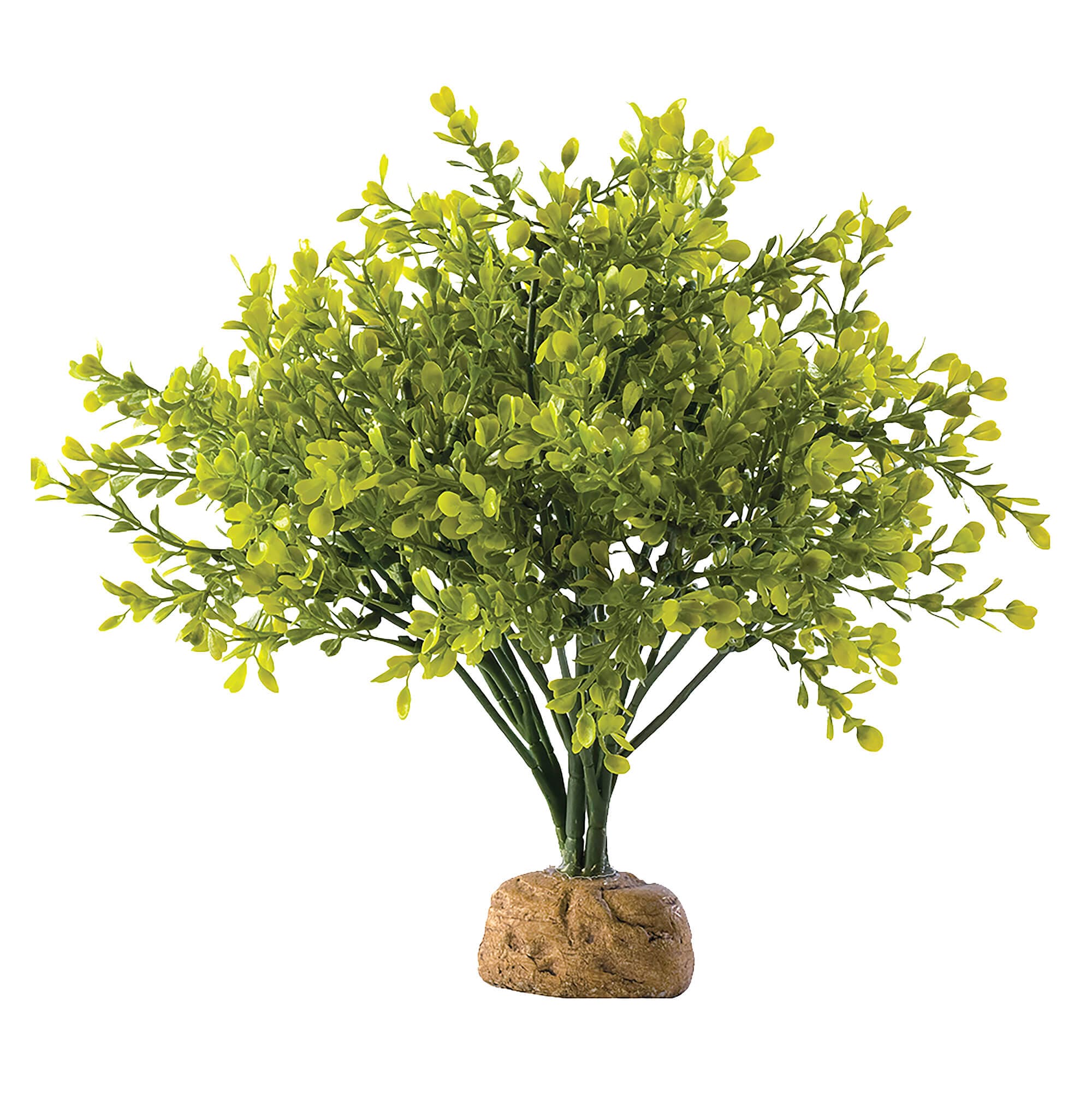 Exo Terra Décor de buis « Plante de la forêt tropicale »